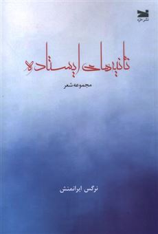 کتاب-ثانیه-های-ایستاده-اثر-نرگس-ایرانمنش