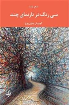 کتاب-30-رنگ-در-تارنمای-چند-اثر-کوروش-جوان-روح