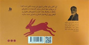 داستان در داستان 