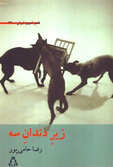 کتاب-زیر-دندان-سه-اثر-رضا-حامی-پور