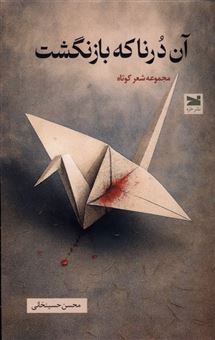 کتاب-آن-درنا-که-بازنگشت