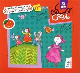 کتاب-کتاب-های-نارنجی-هفته-ی-13-کاسه-های-پرنده-اثر-فریبا-کلهر