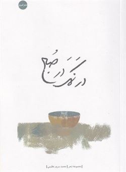 کتاب-در-نمک-در-صبح-اثر-محمد-سرور-عظیمی