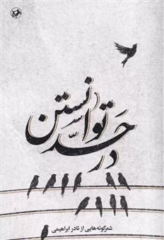 کتاب-در-حد-توانستن-اثر-نادر-ابراهیمی