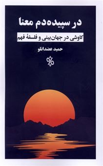 کتاب-در-سپیده-دم-معنا-اثر-حمید-عضدانلو