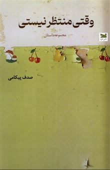 کتاب-وقتی-منتظر-نیستی-اثر-صدف-پیکامی