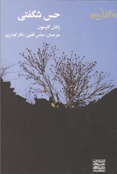 کتاب-حس-شگفتی