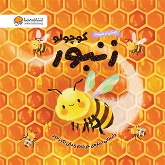 کتاب-زنبور-کوچولو-اثر-ونزدی-جونز