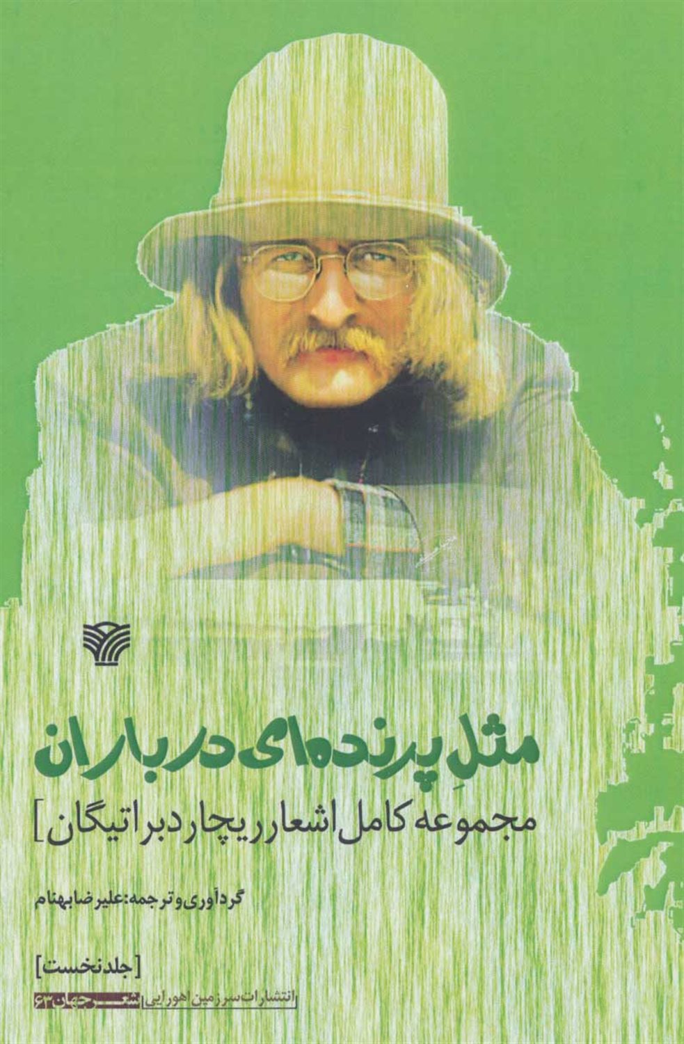 مثل پرنده ای در باران