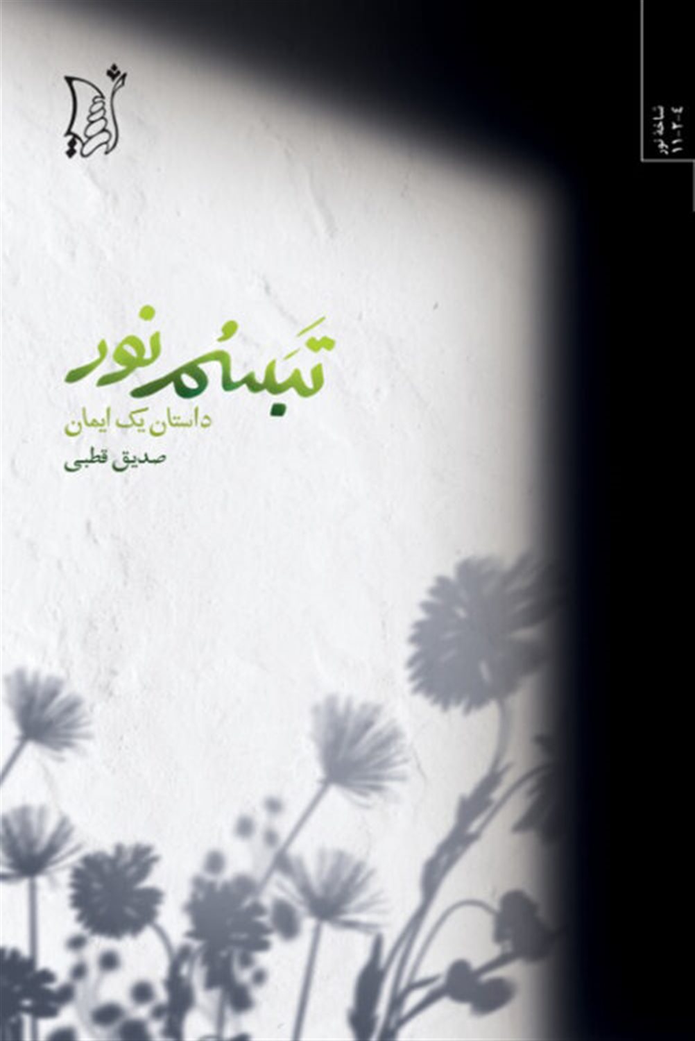 تبسم نور 