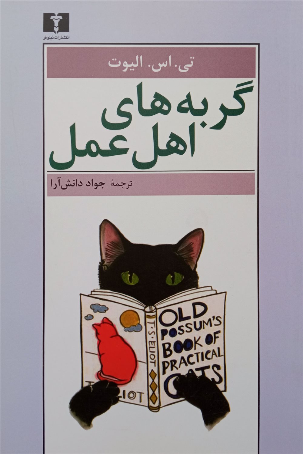 گربه های اهل عمل