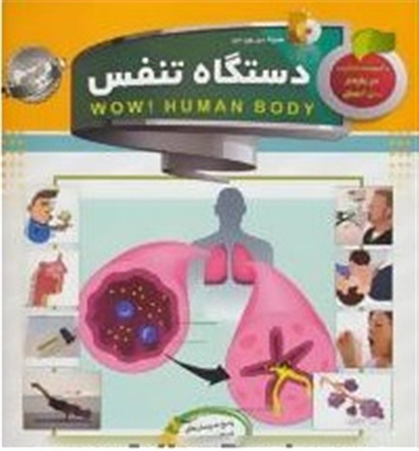 دستگاه تنفس