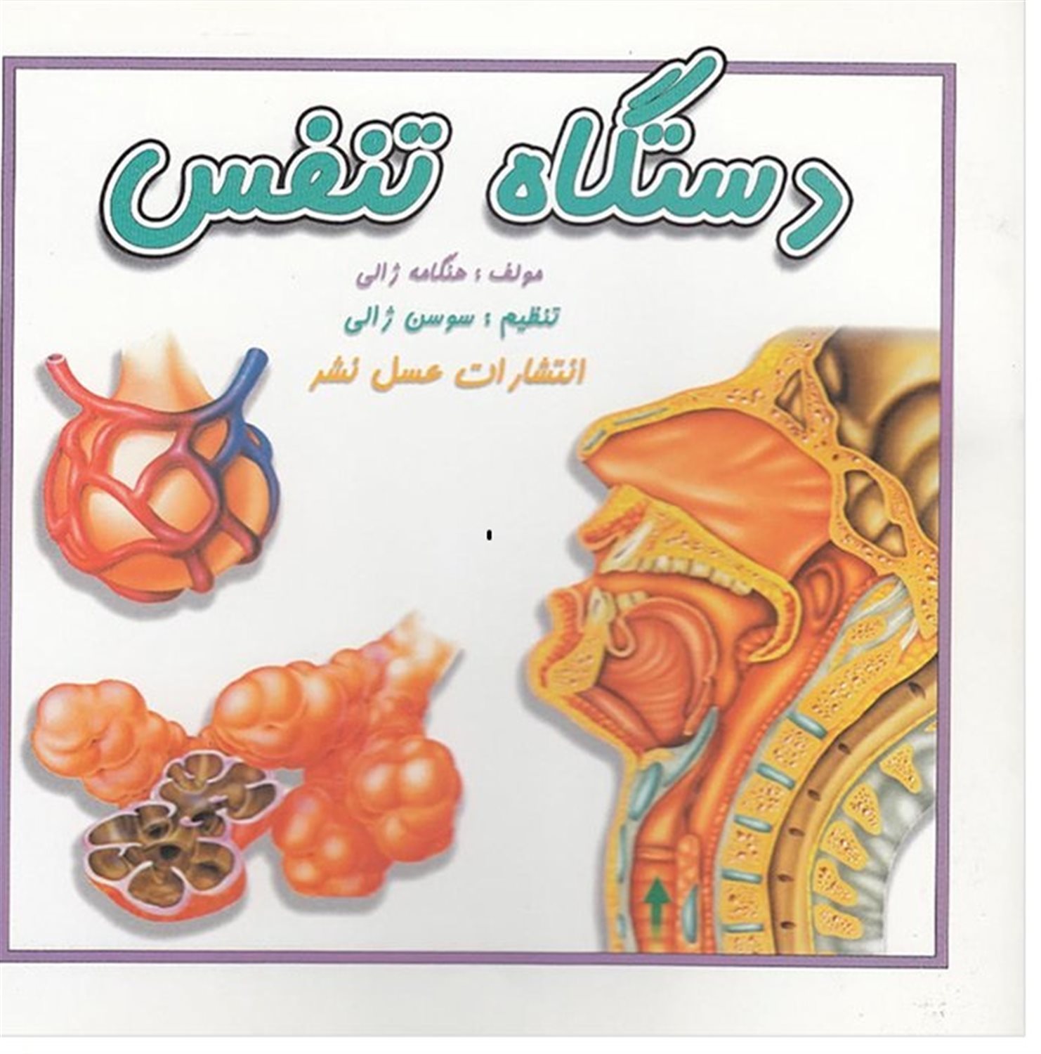دستگاه تنفس