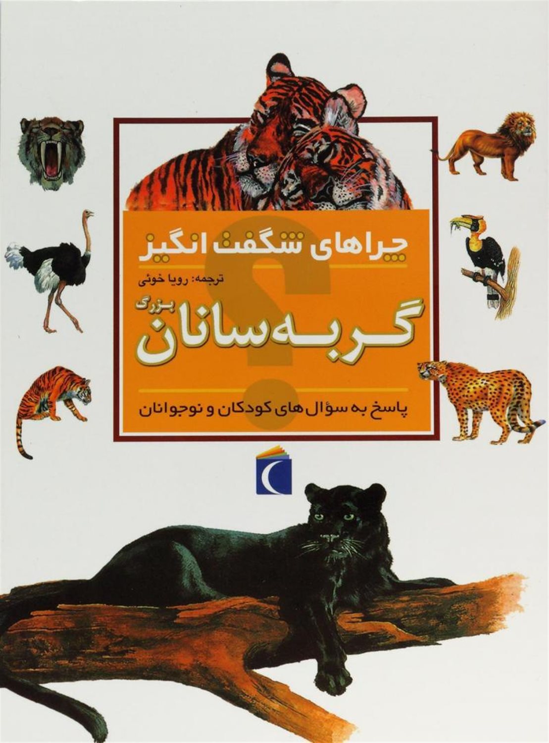 چراهای شگفت‌انگیز: گربه‌سانان بزرگ