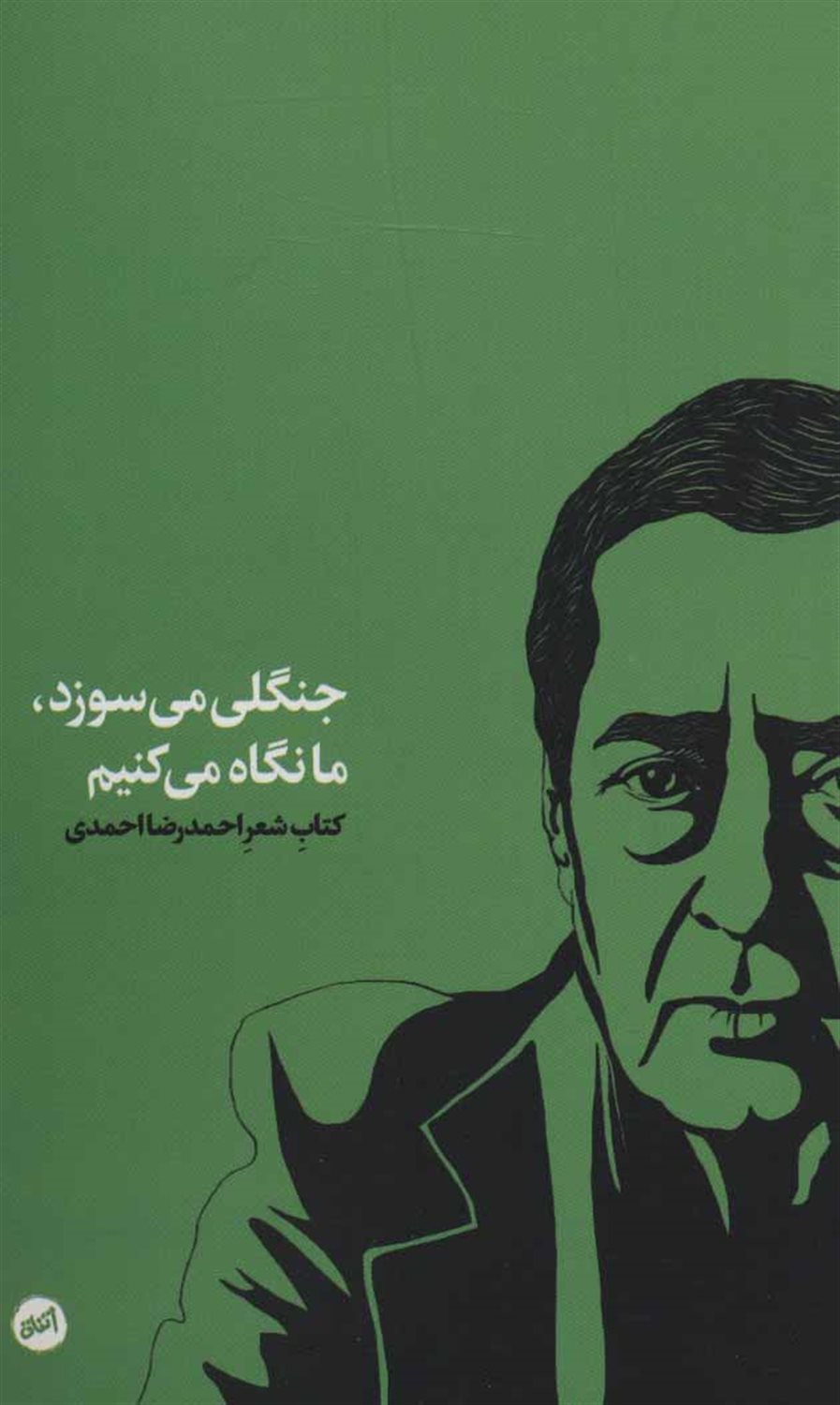 جنگلی می‌سوزد، ما نگاه می‌کنیم
