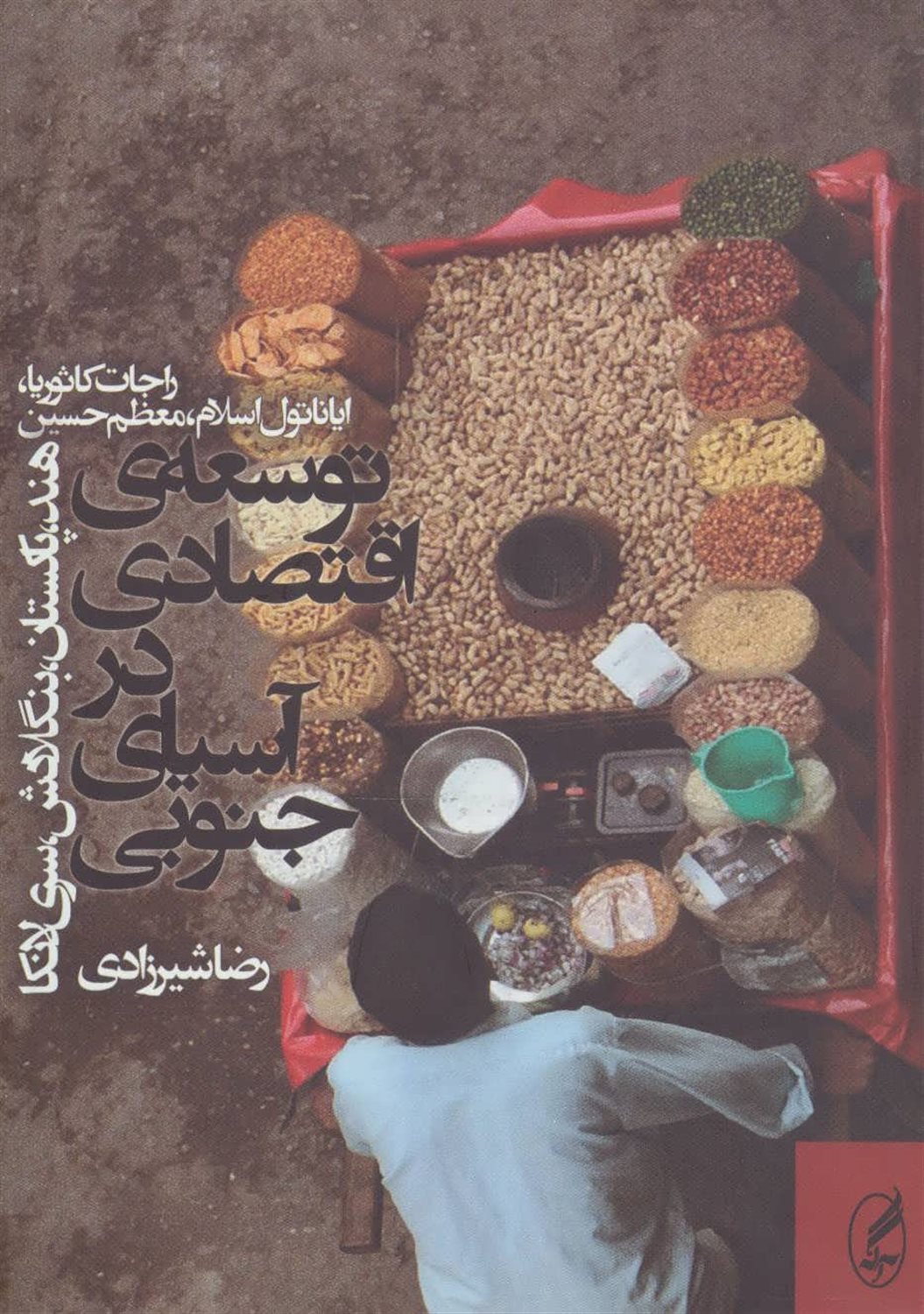 توسعه‌ی اقتصادی در آسیای جنوبی