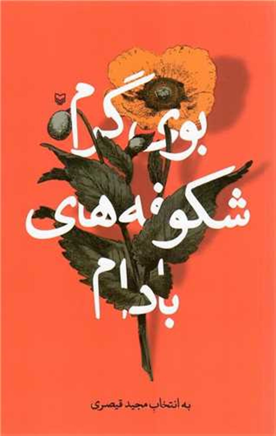 بوی گرم شکوفه های بادام 