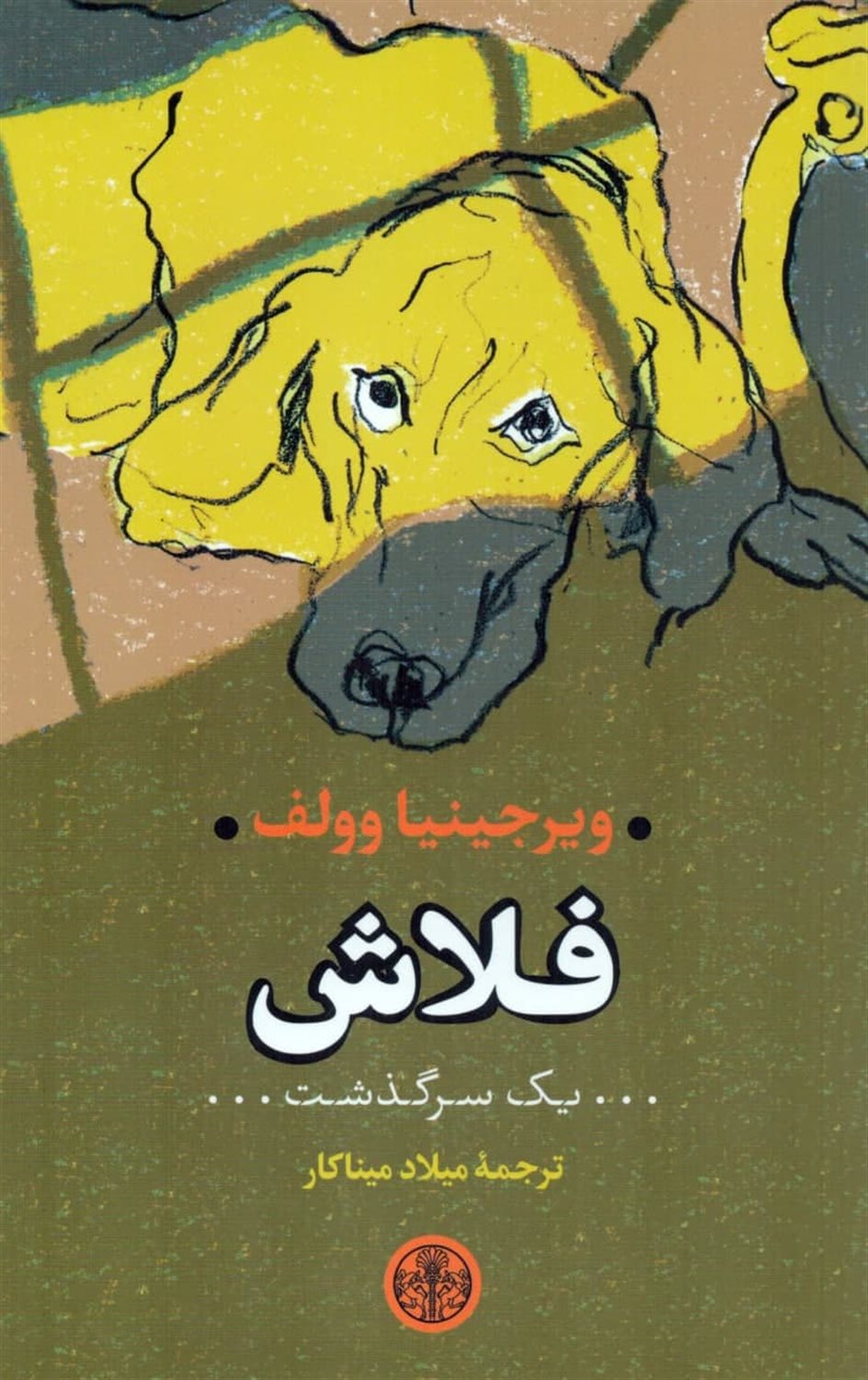 فلاش