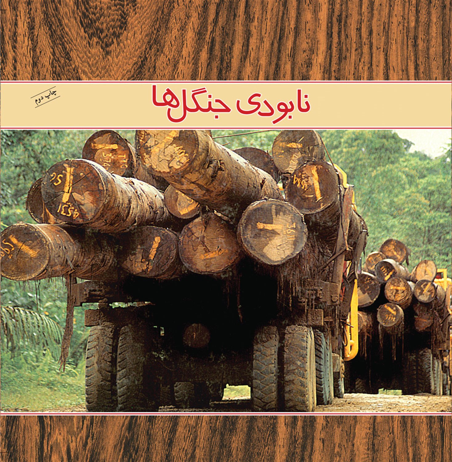 نابودی جنگل ها