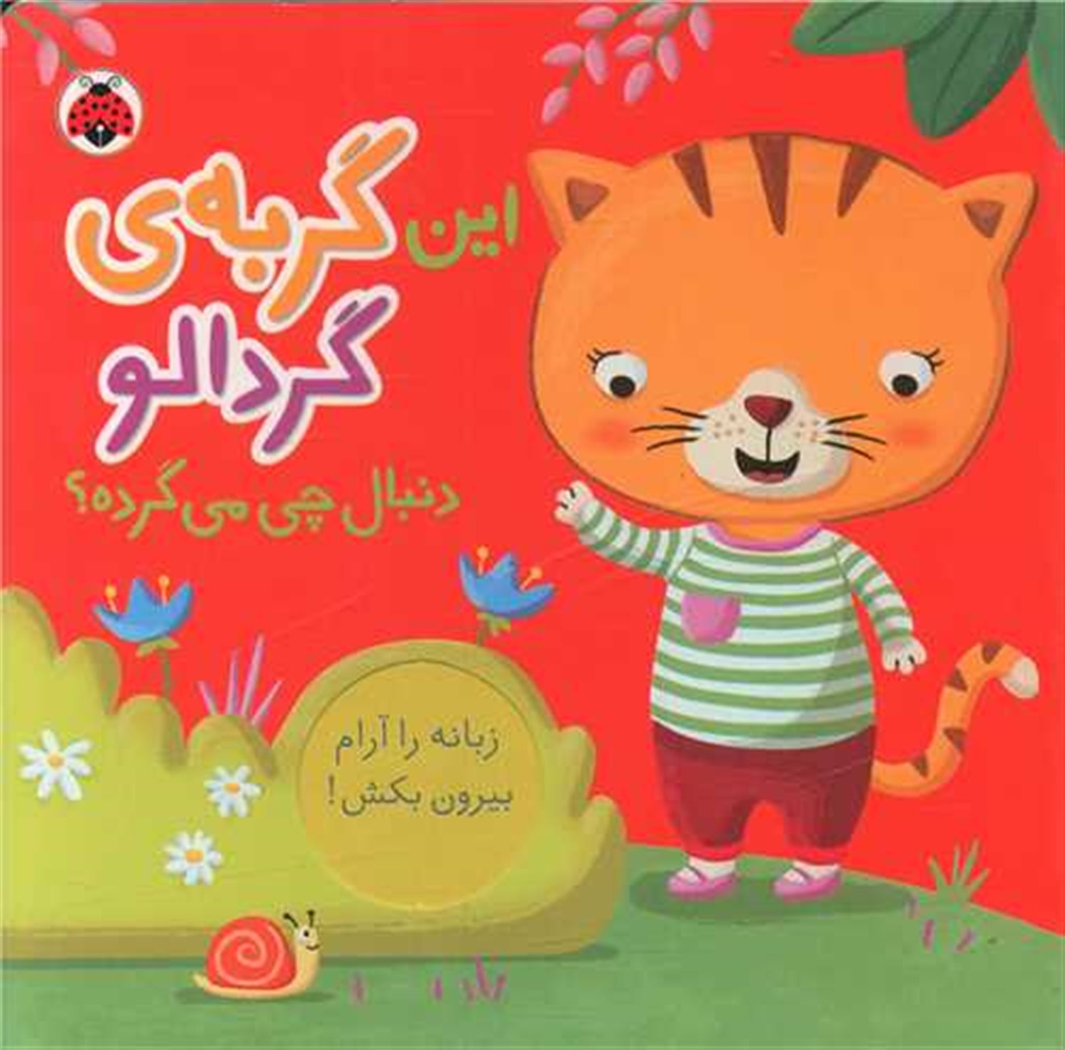 	این گربه‌ی گردالو دنبال چی می‌گرده؟