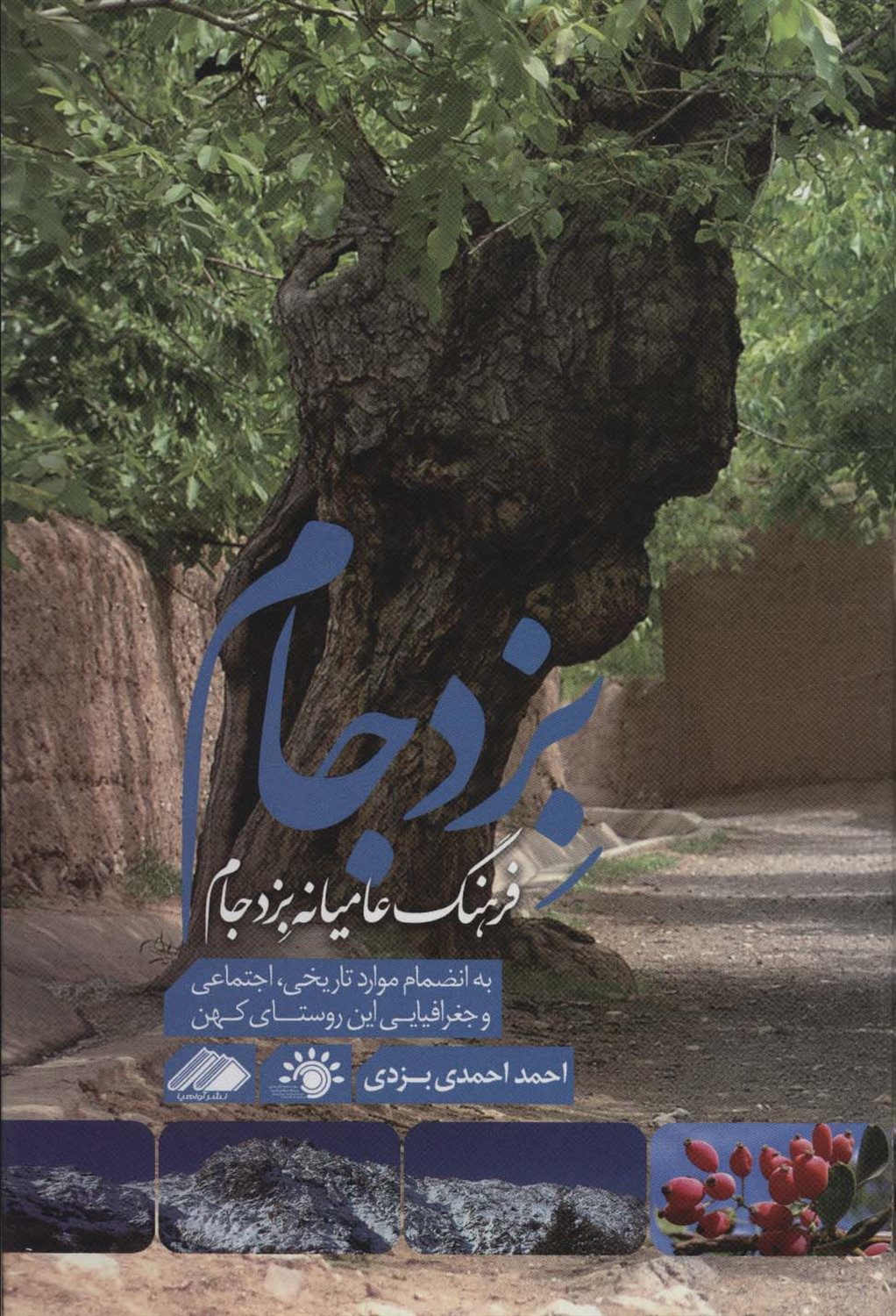 فرهنگ عامیانه بزد جام 