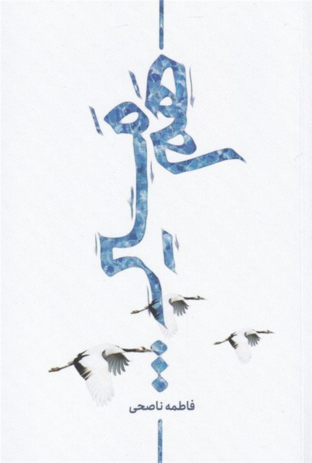هم مسیر...
