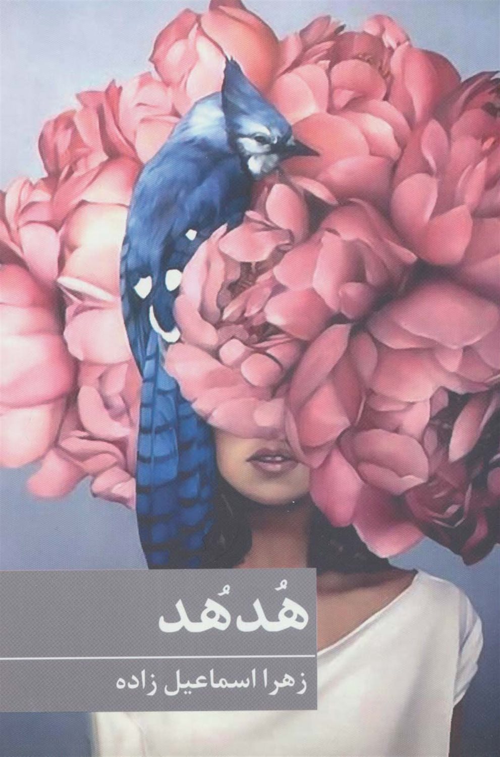 هدهد