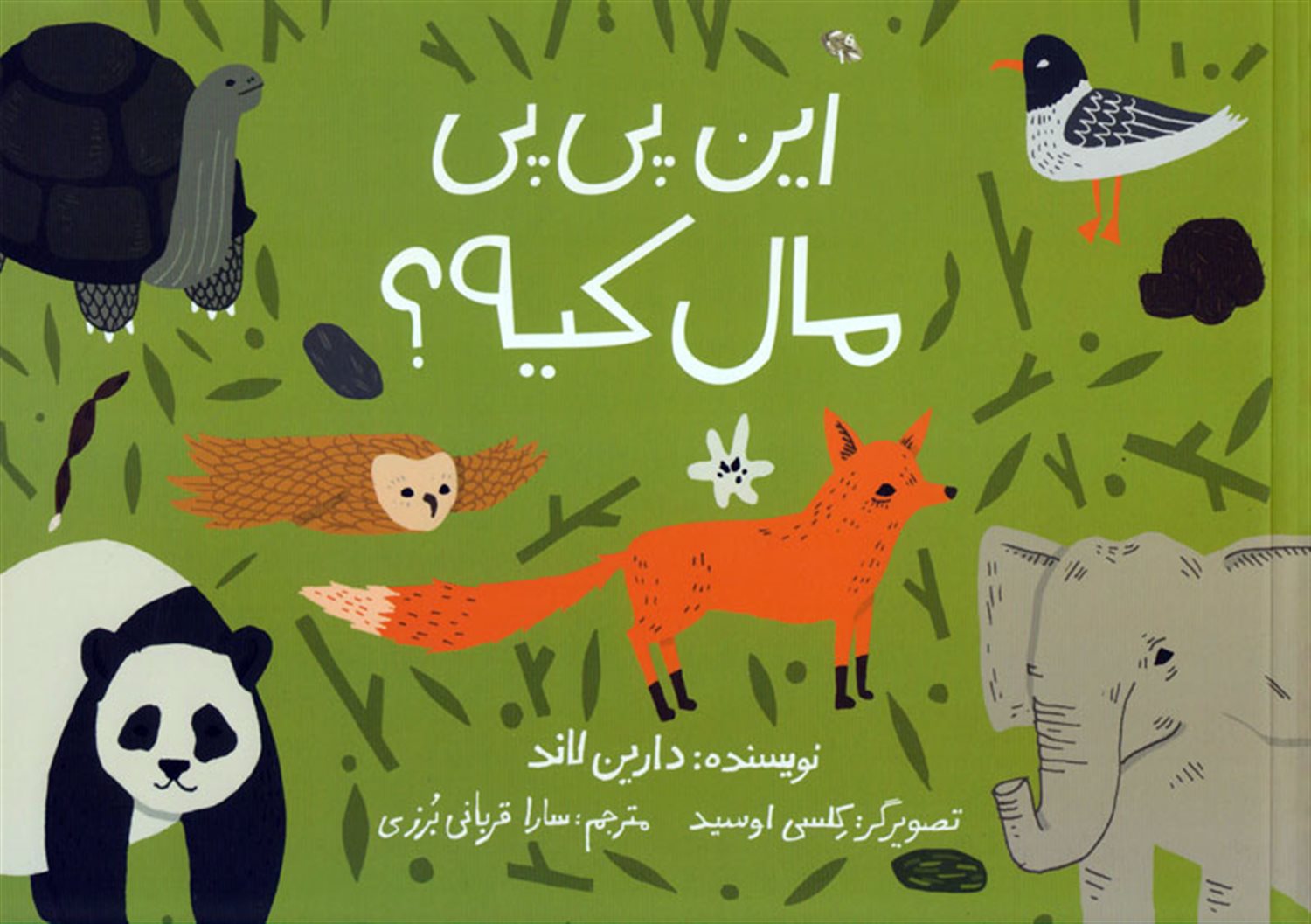 این پی پی مال کیه؟