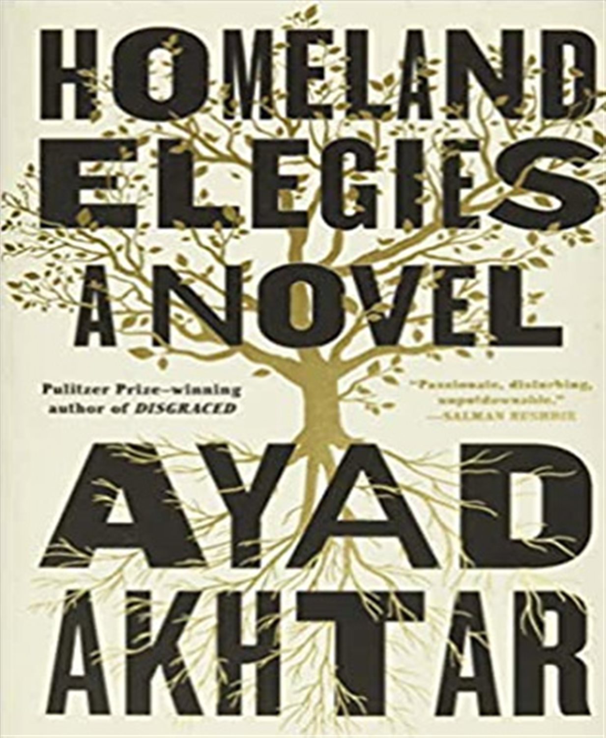 homeland elegies