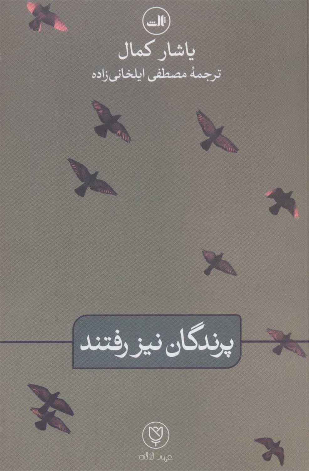پرندگان نیز رفتند 