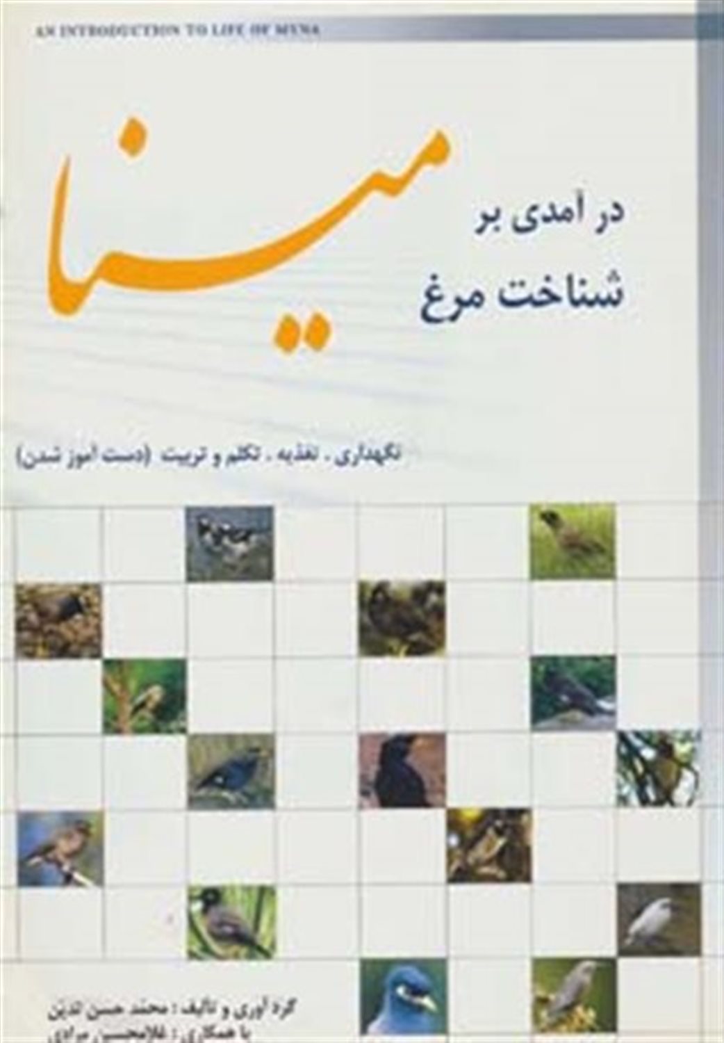 درامدی بر شناخت مرغ مینا: نگهداری، تغدیه، تکلم و تربیت (دست آموز شدن)