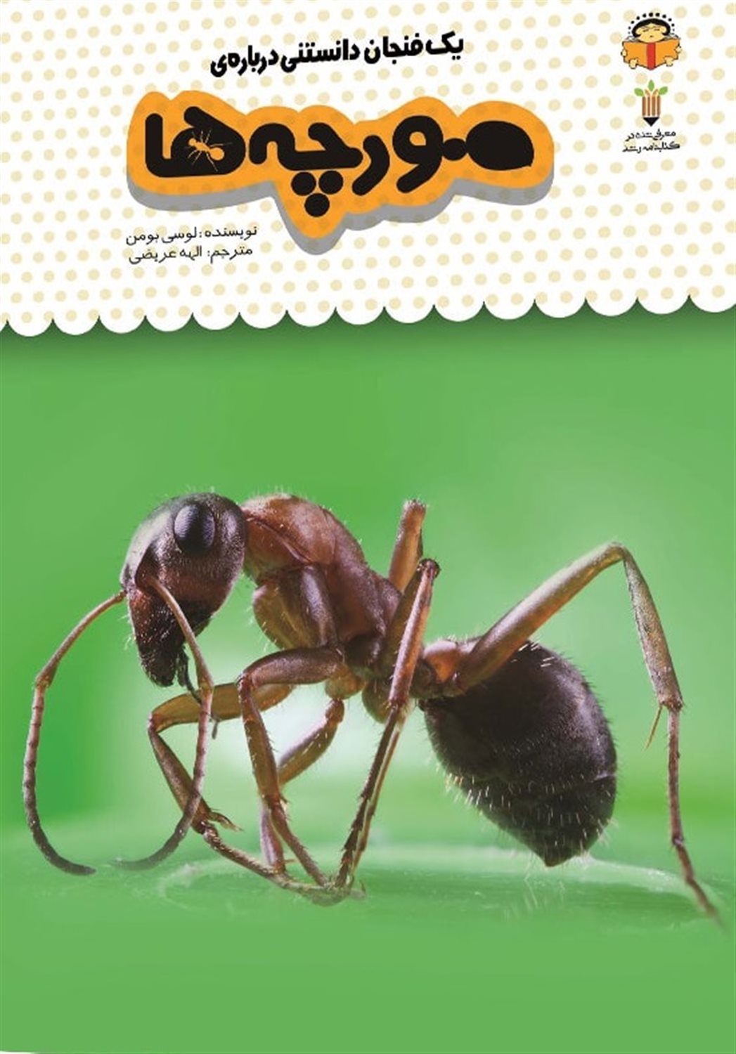 یک فنجان دانستنی درباره‌ی مورچه‌ها