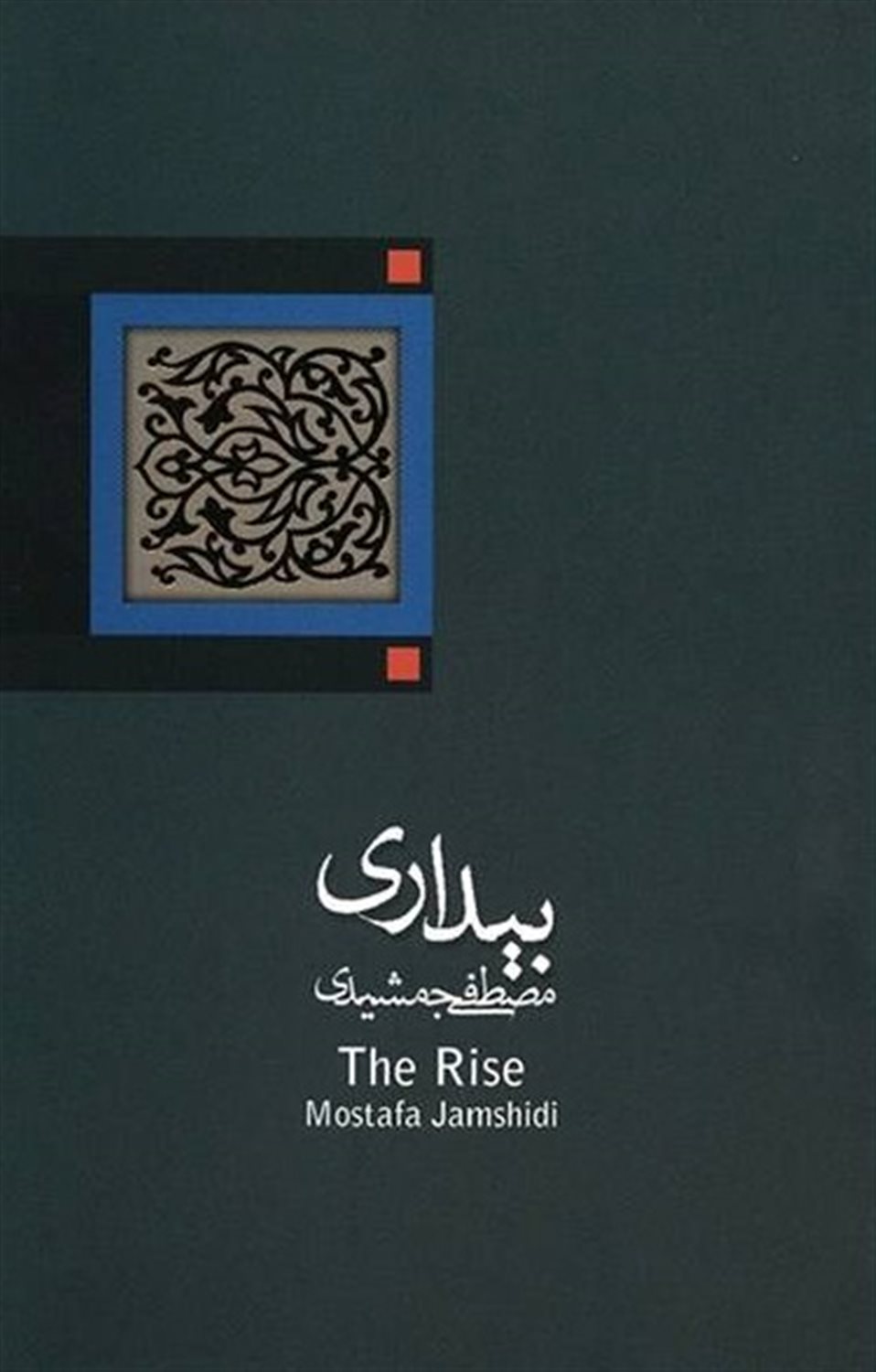 بیداری