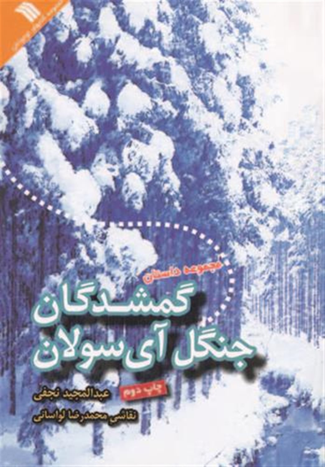 گمشدگان جنگل آی سولان 