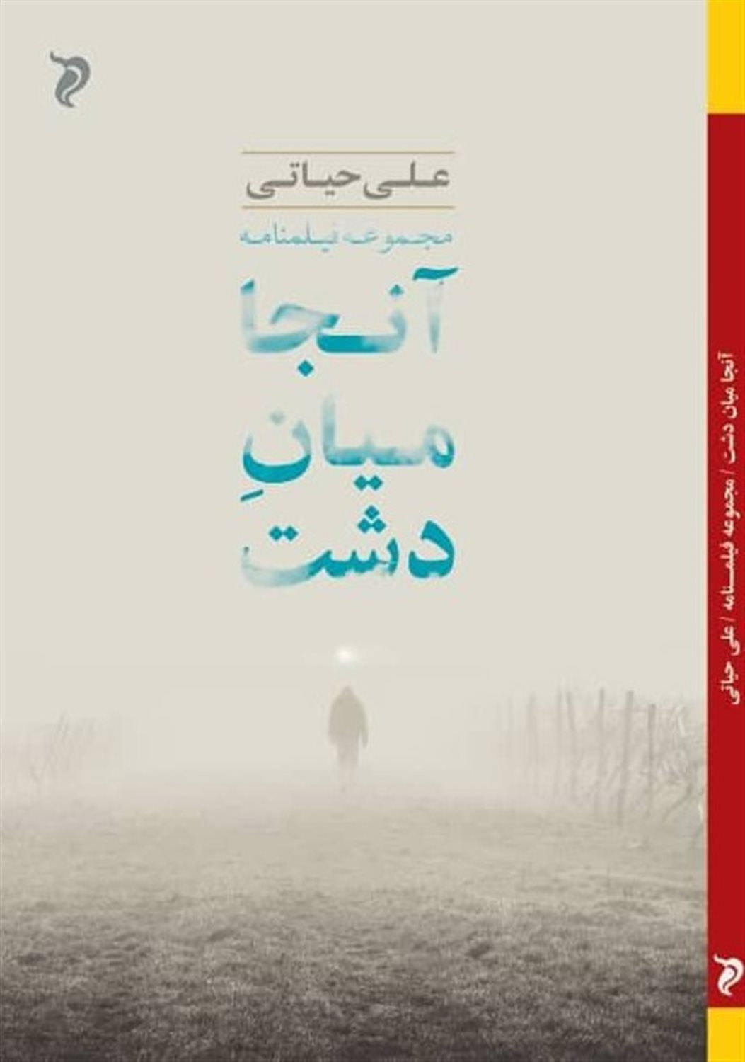 آن جا میان دشت