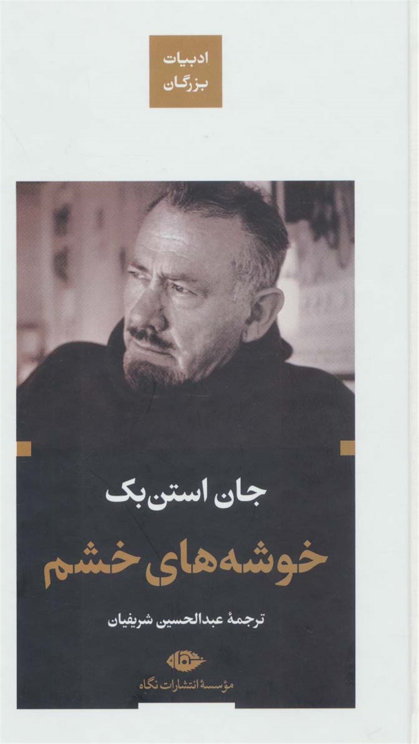 خوشه های خشم 