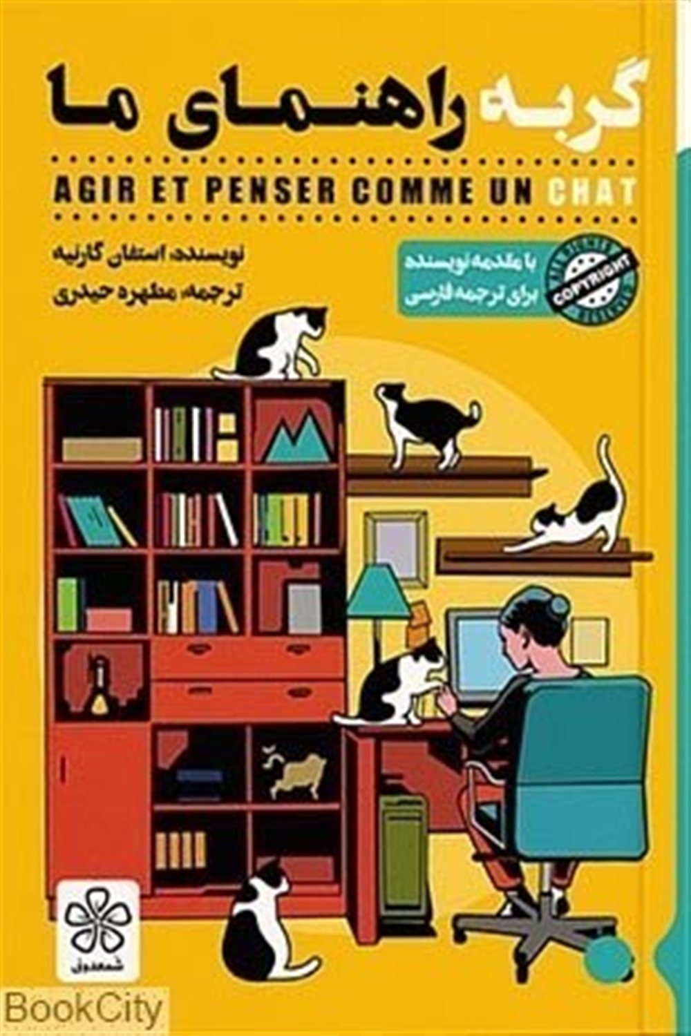 گربه راهنمای ما