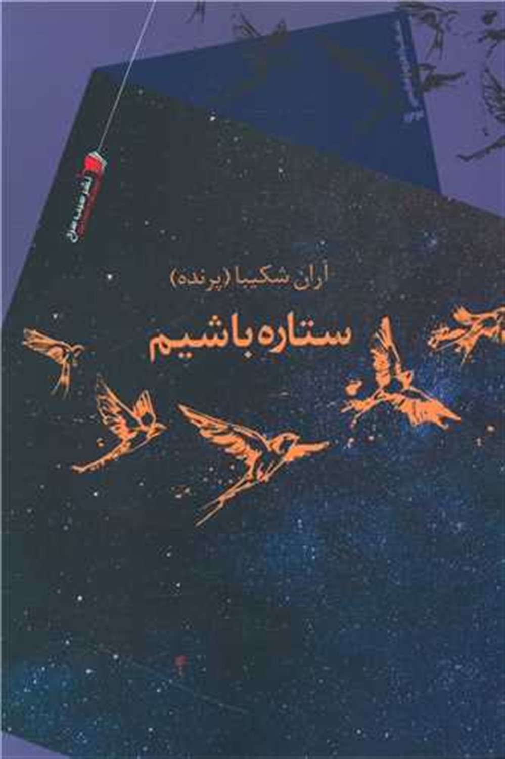 ستاره باشیم
