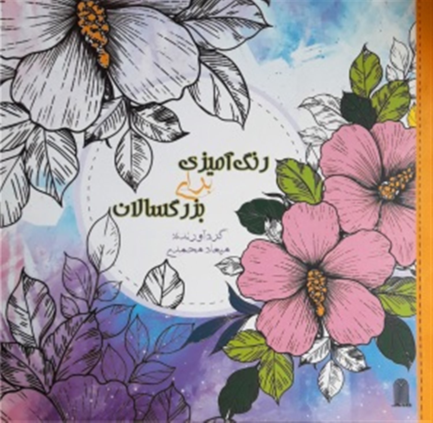 رنگ آمیزی برای بزرگسالان