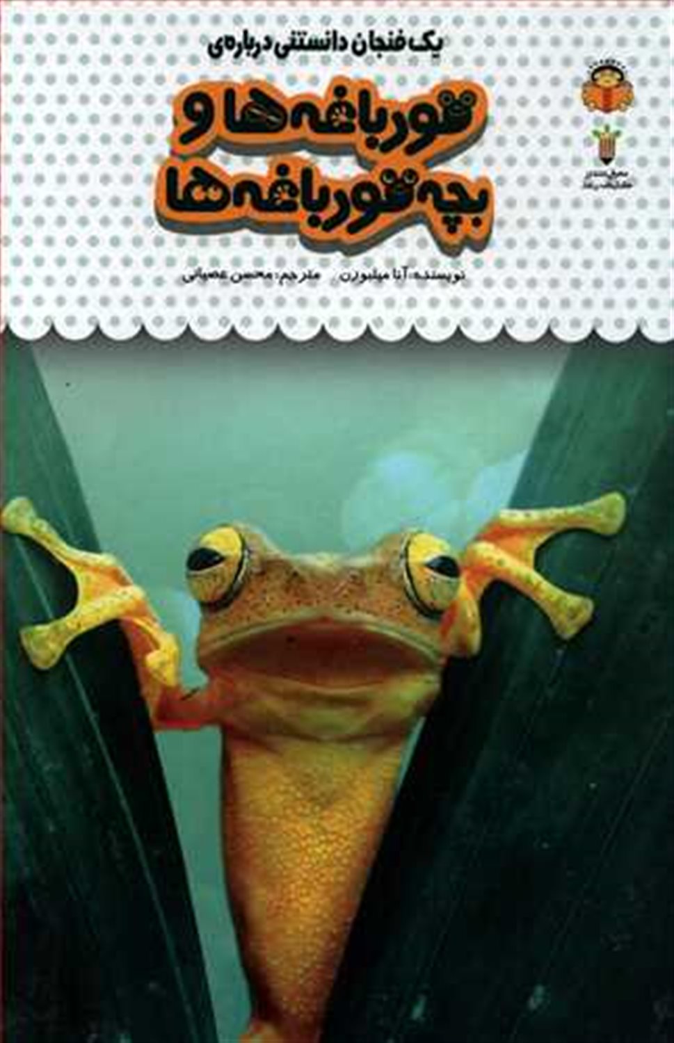 یک فنجان دانستنی درباره‌ی قورباغه‌ها و بچه‌قورباغه‌ها