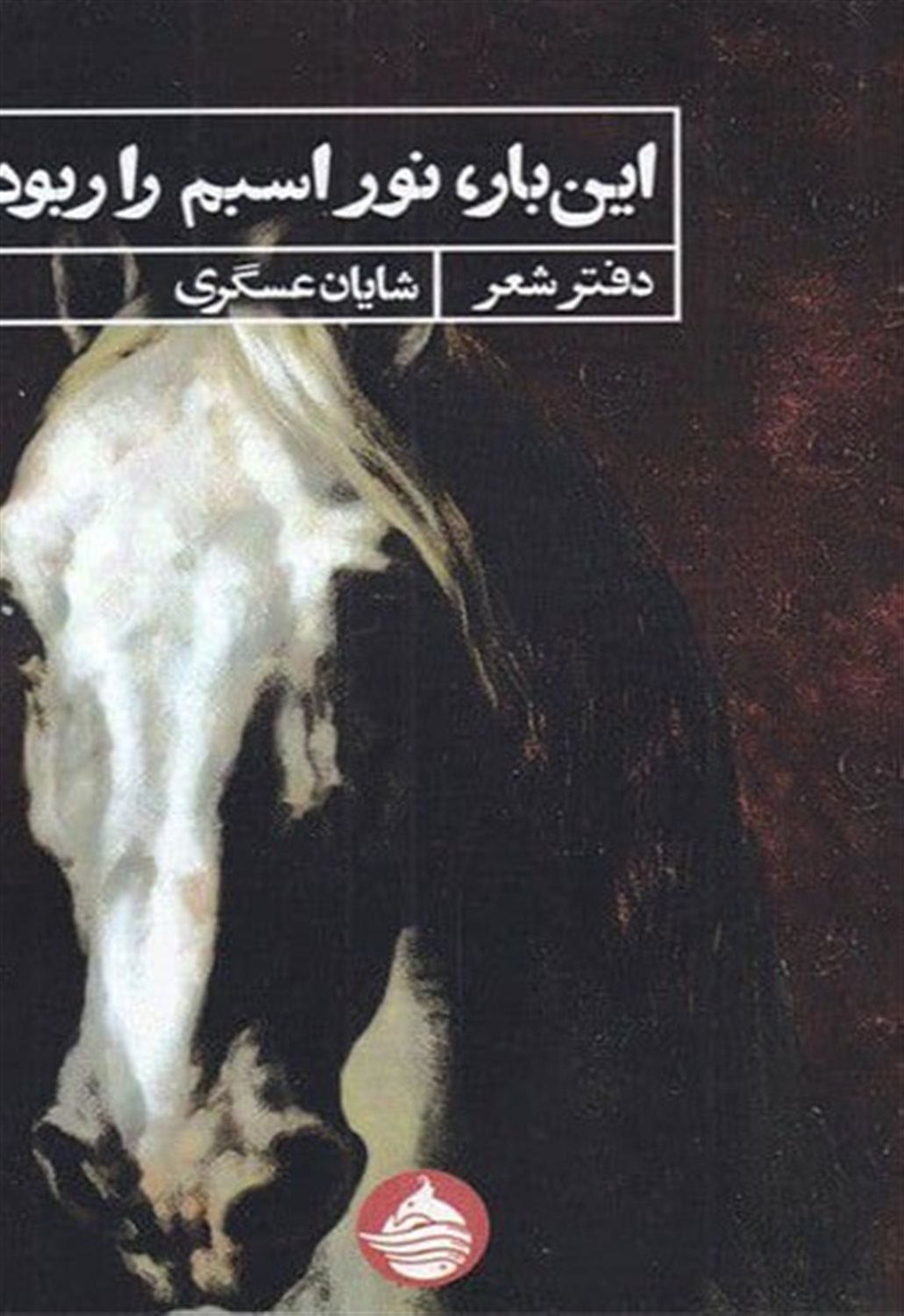 این بار نور اسبم را ربود
