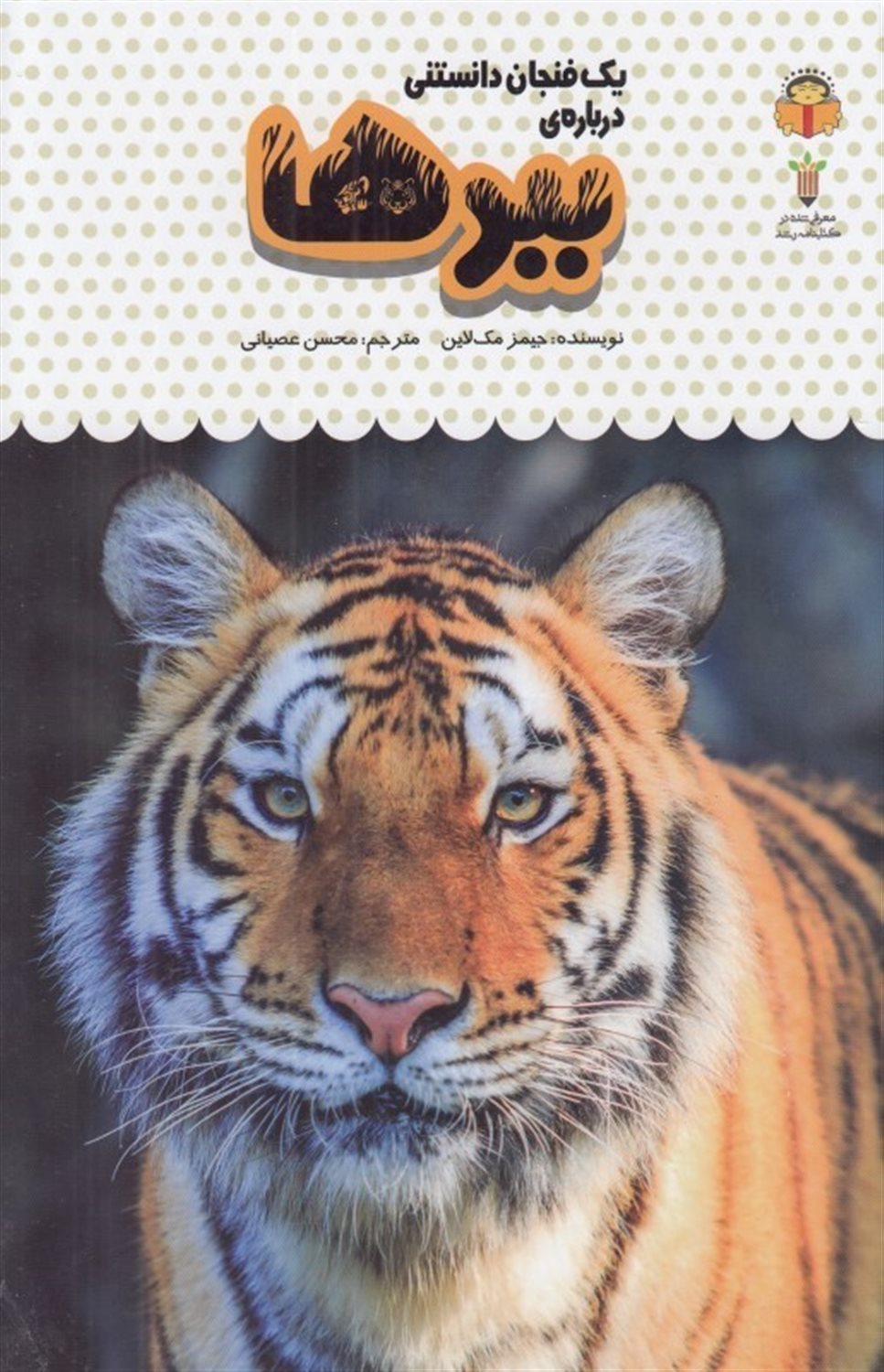 یک فنجان دانستنی درباره‌ی ببرها