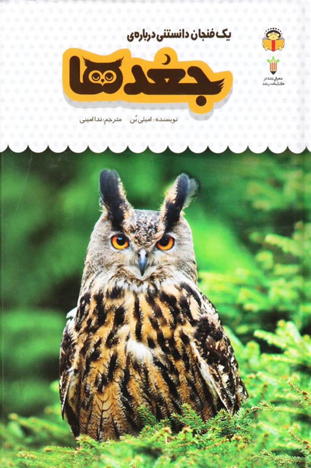 یک فنجان دانستنی درباره‌ی جغدها