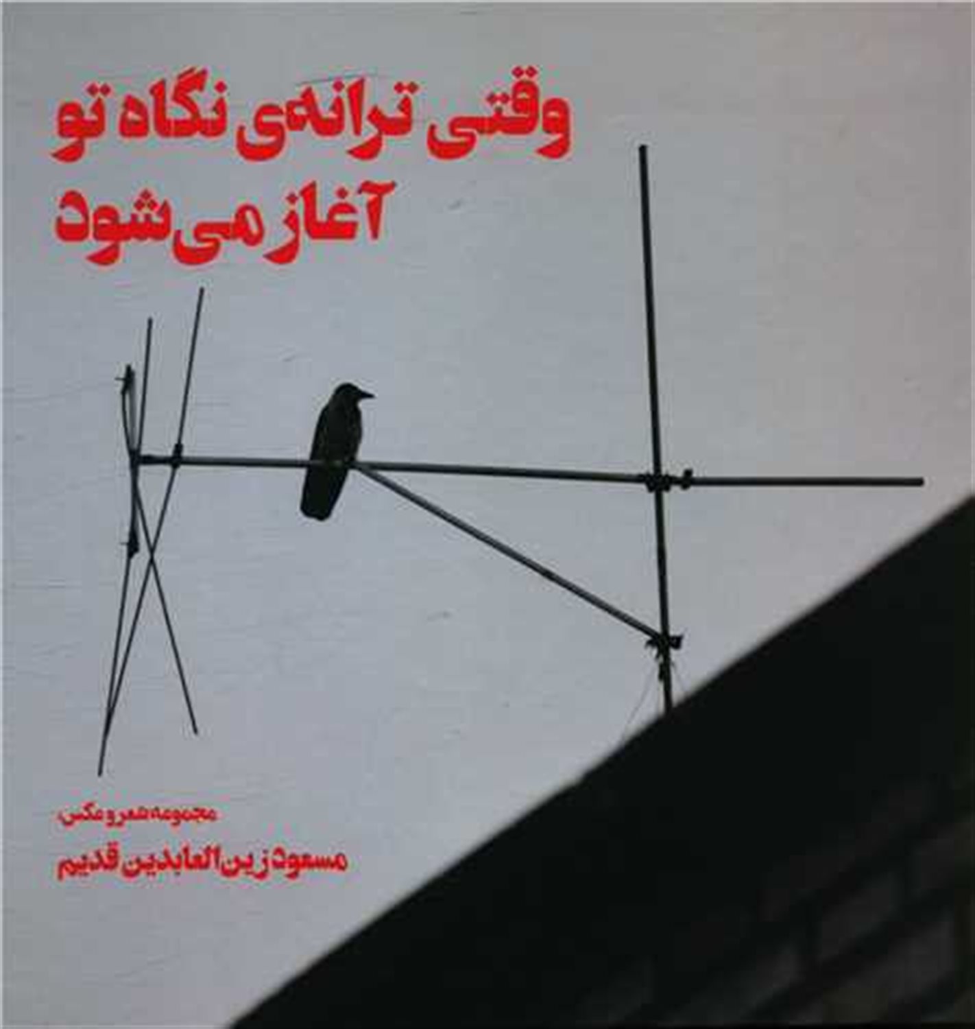 وقتی ترانه ی نگاه تو آغاز می شود
