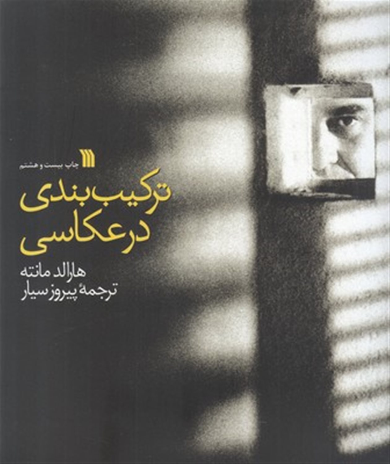 ترکیب بندی در عکاسی