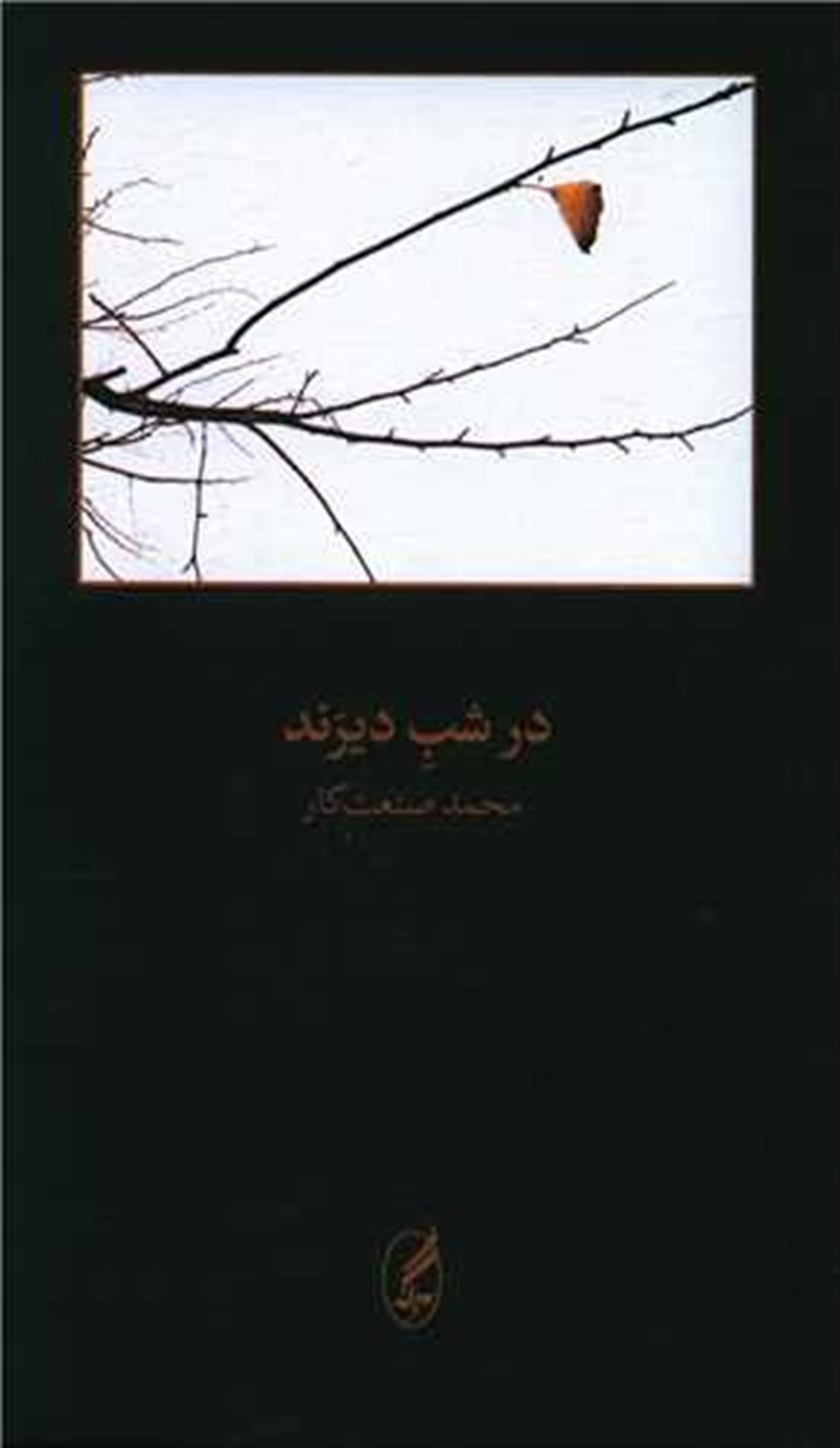 در شب دیرند 