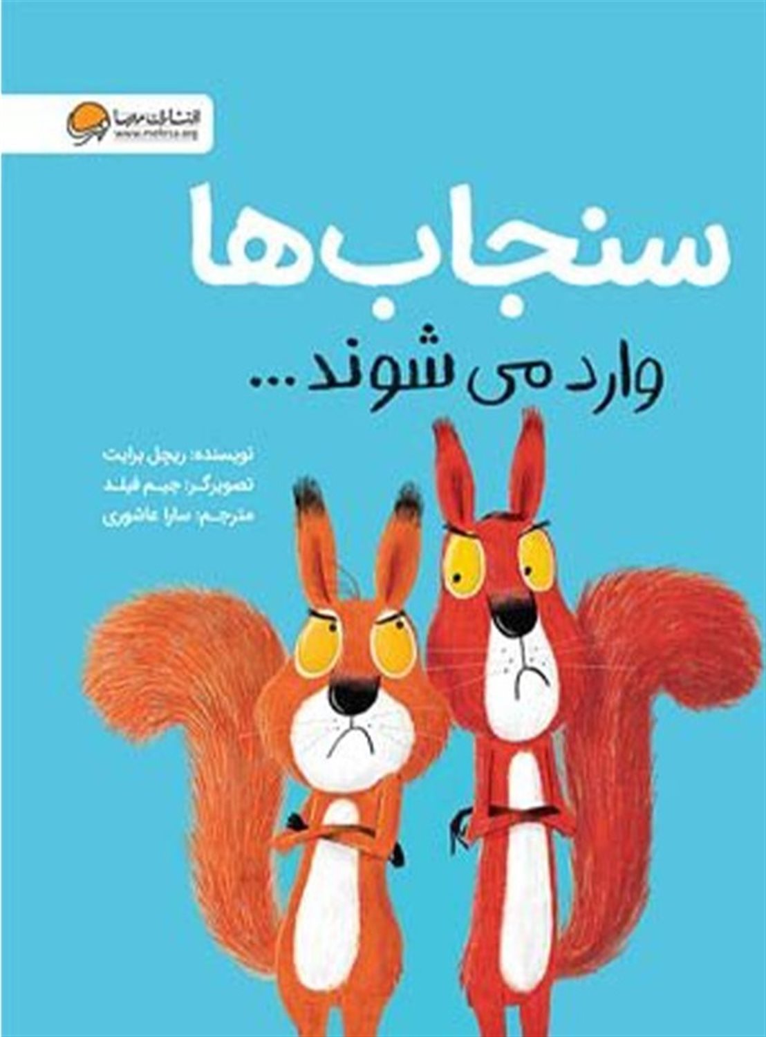 سنجاب ها وارد می شوند ...