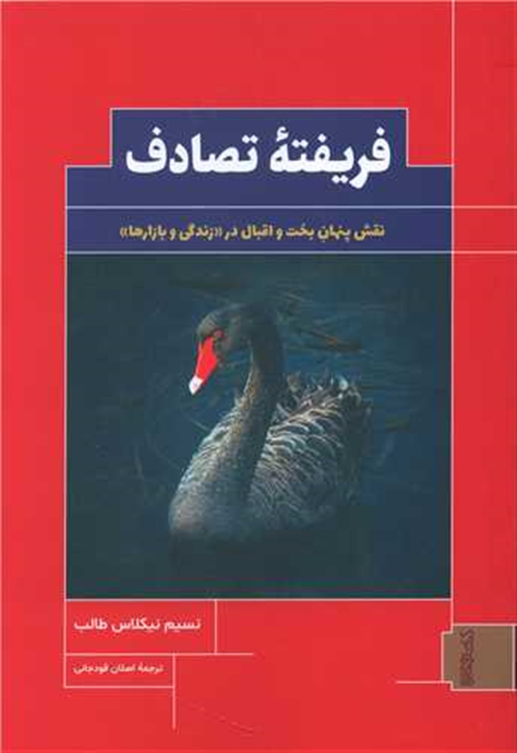 فریفته تصادف