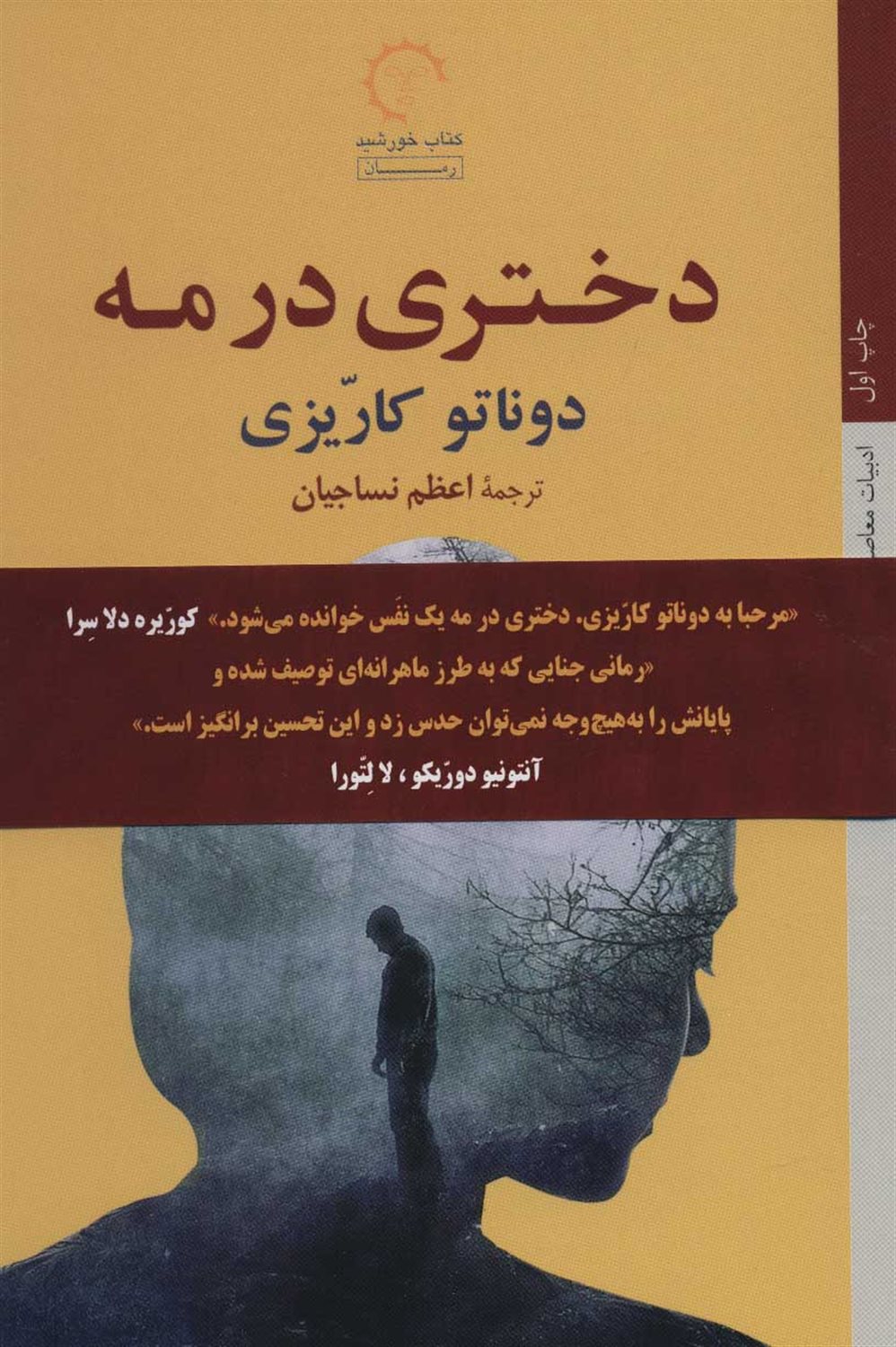 دختری در مه
