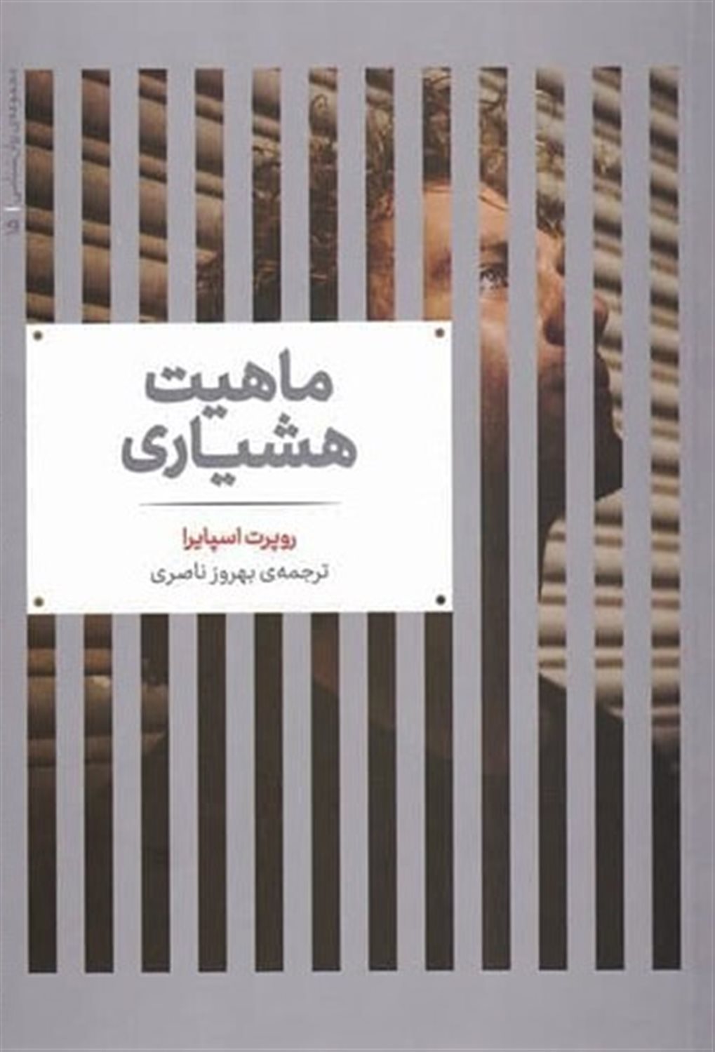 ماهیت هشیاری 